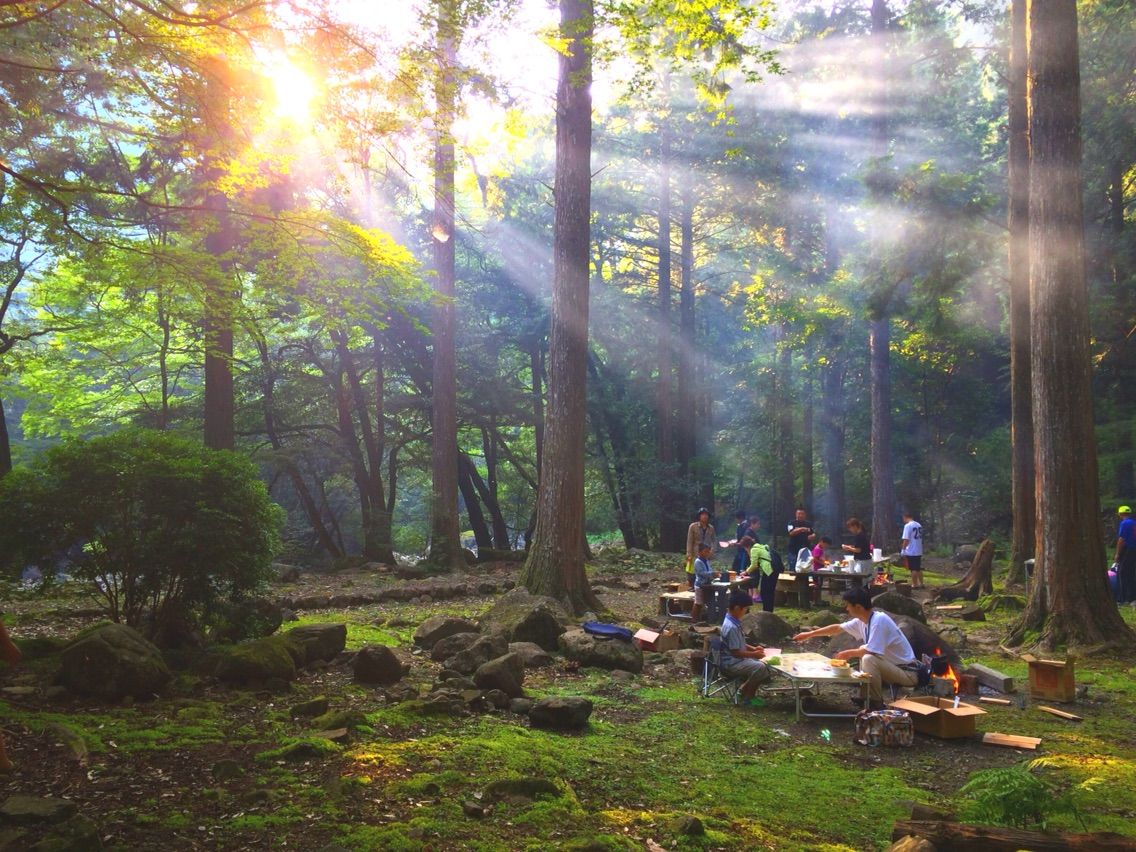 美しいキャンプ場の好循環 : コーヒーと オールドレンズと まつの暮らし