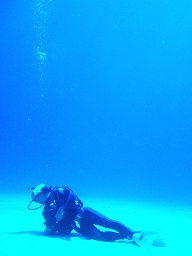 水面を見上る_256
