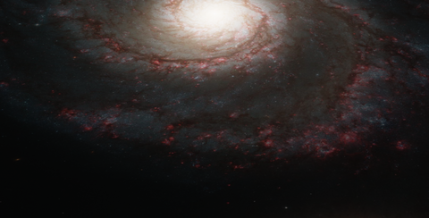 m51005