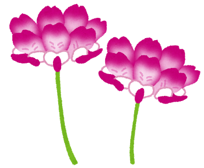 flower_renge