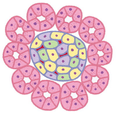 body_cell_suizou