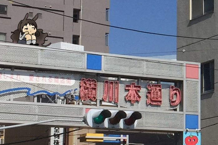 ポケモンgo 横川本通り おたけの広島もふもふ