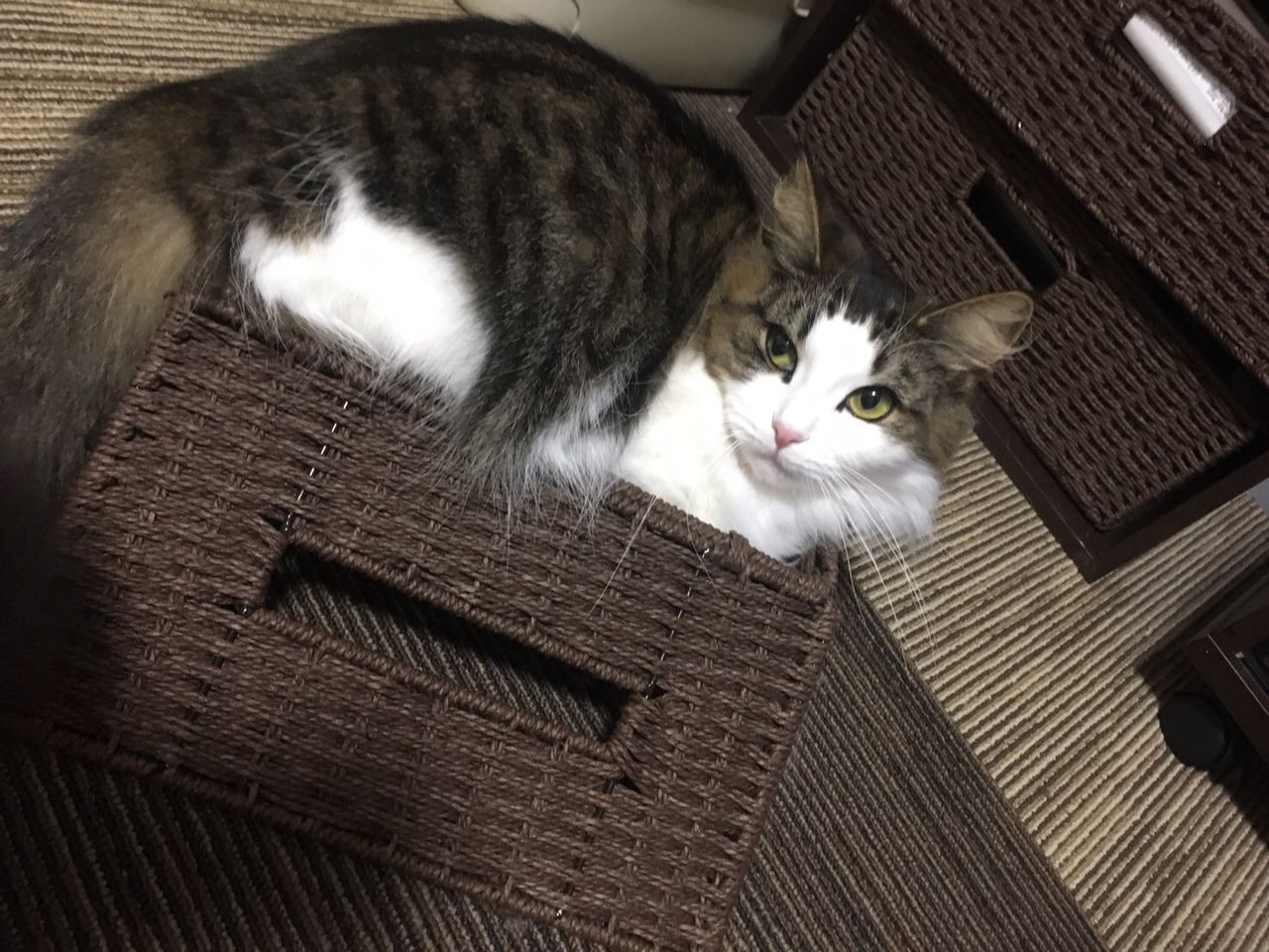 行ってきました ナショナル会館 通常営業日 2月4日 みるみーのパチンコ パチスロブログ 広島県 行ってきました ナショナル会館 通常営業日 2月4日 みるみーのパチンコ パチスロブログ 広島県