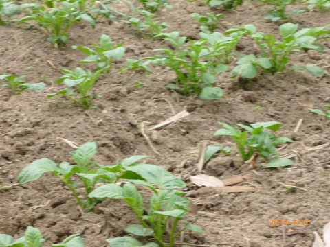 P1000704