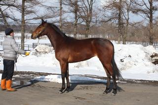 スタテンアイランド