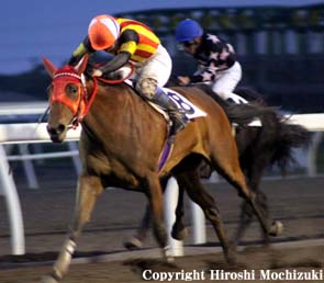 �����ƥ󥢥�����1