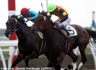 �����ƥ󥢥�����3