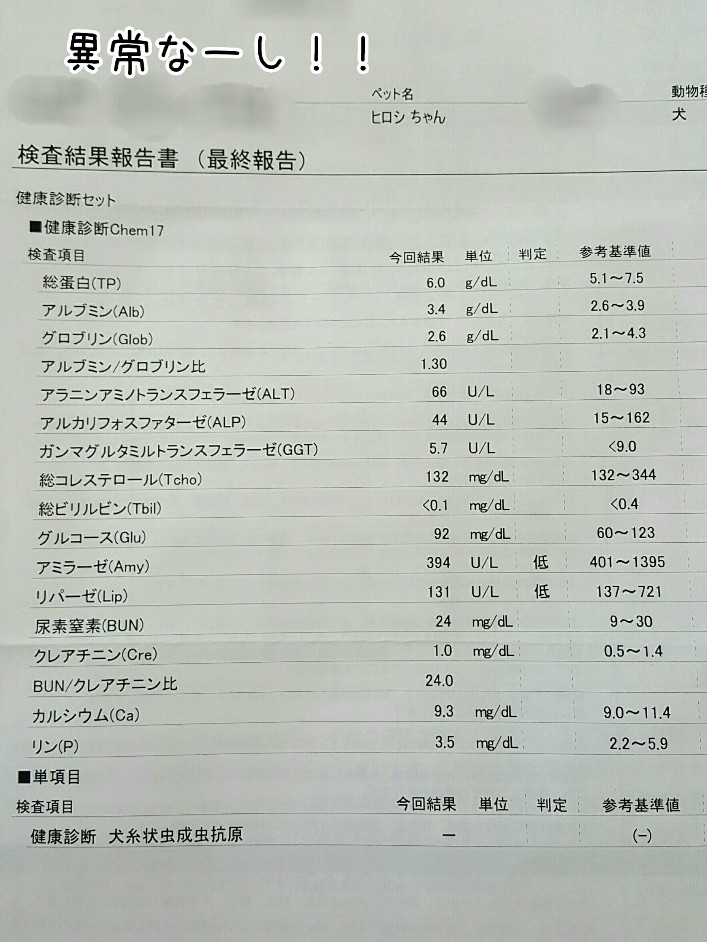 マルチーズの ひろしです 16年06月02日 Powered By ライブドアブログ マルチーズの ひろしです 16年06月02日 Powered By ライブドアブログ