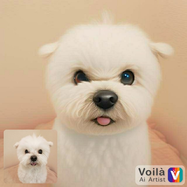 voila_1674614302872
