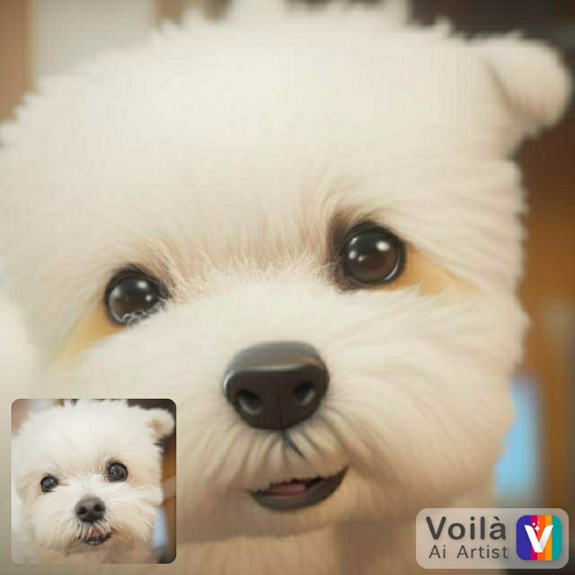 voila_1674613826634