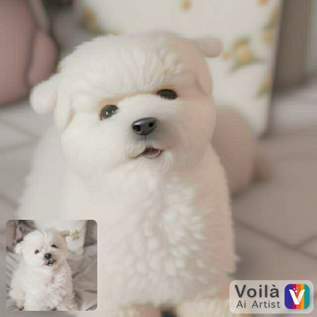 voila_1674614150893