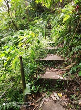 階段1677924289884