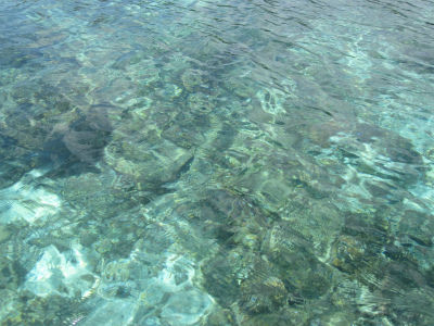 カモテス島の美しい海