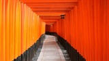 伏見