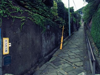 dndn