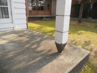 DSCN9653