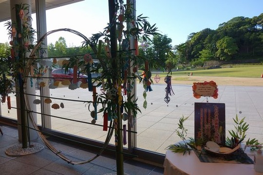 DSC02516