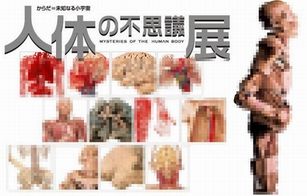 金沢21世紀美術館～人体の不思議展 : ぶらり金沢駅