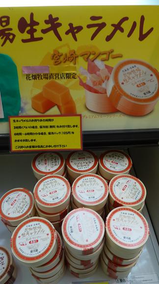ぶらり鹿児島 お土産は鹿児島空港で ぶらり金沢駅