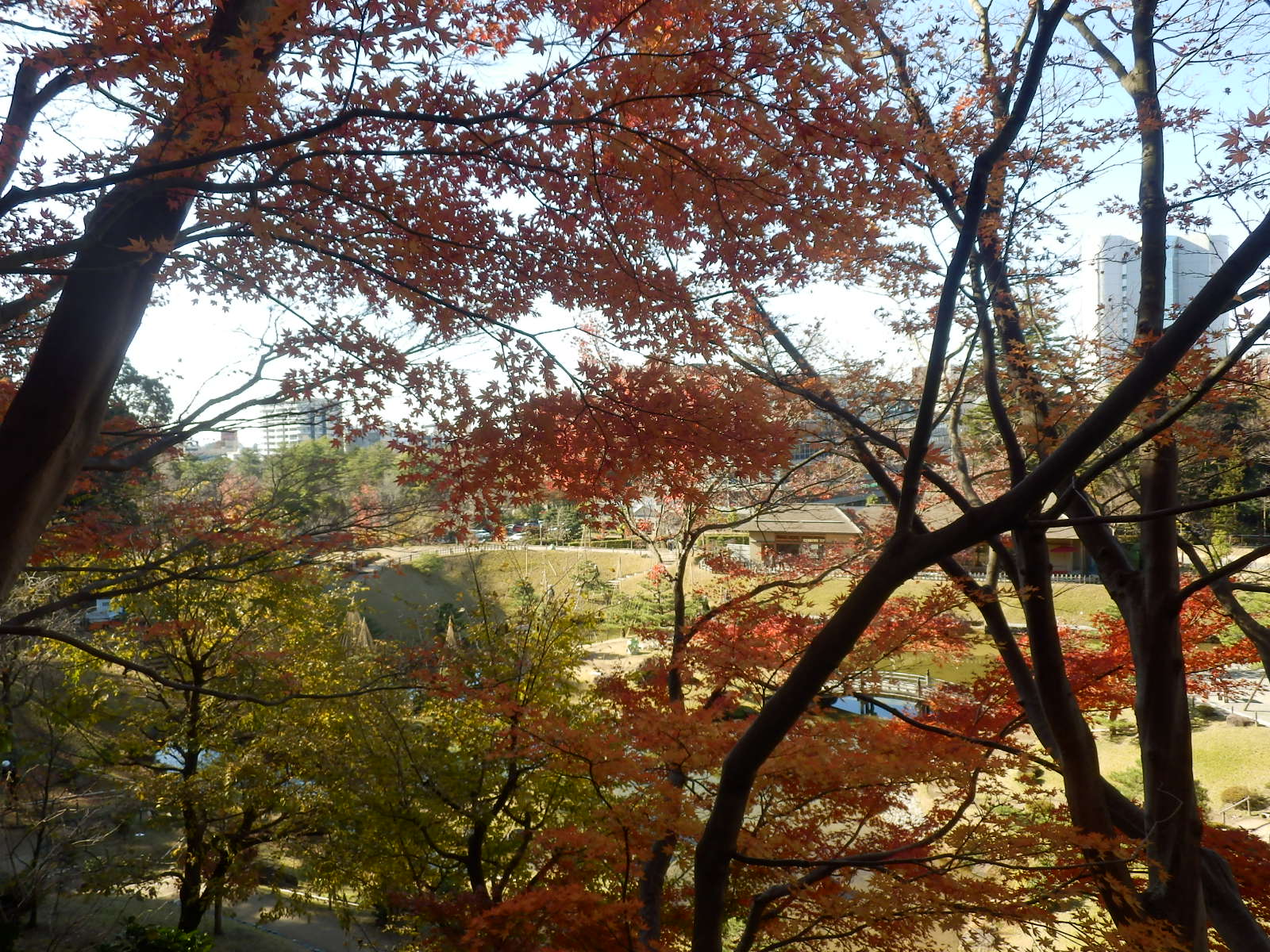 PC060315