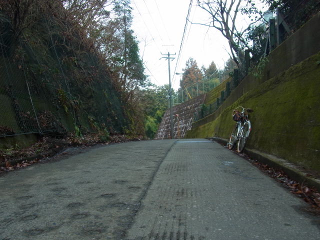 イメージ 27