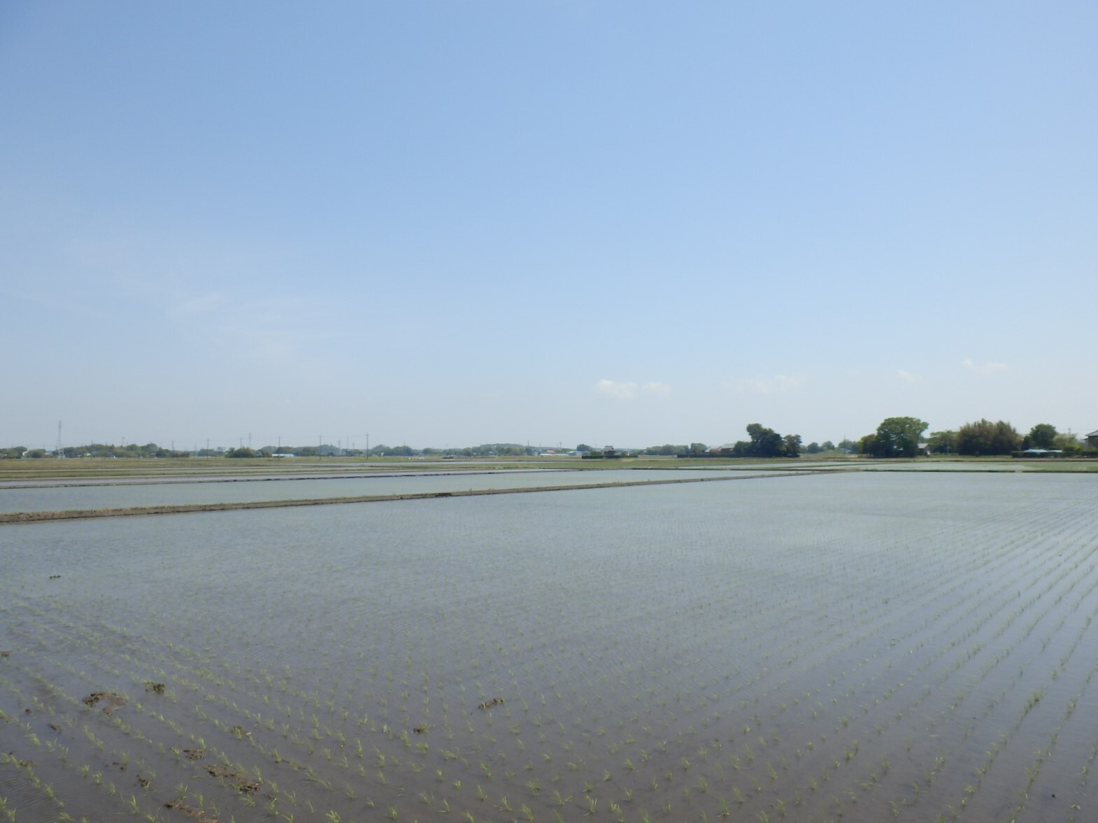 P4270093