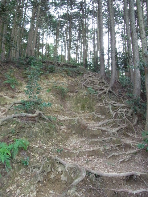 イメージ 18