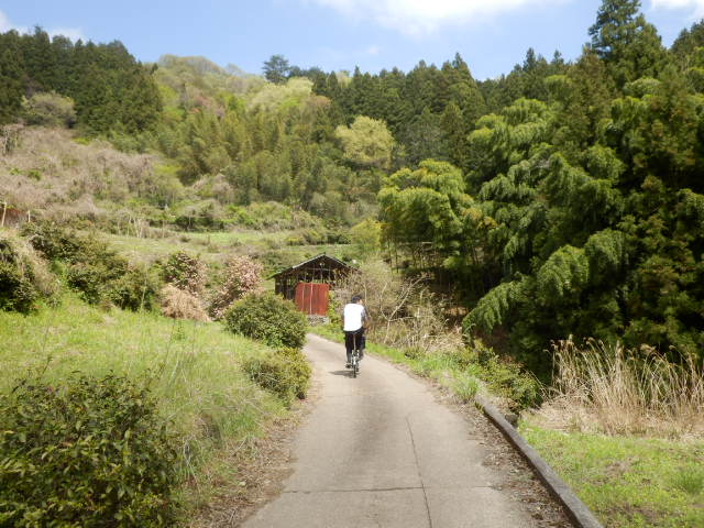 イメージ 29