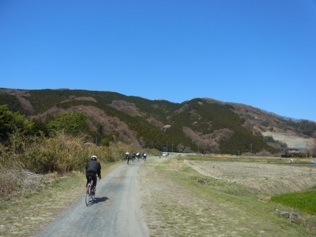 イメージ 5