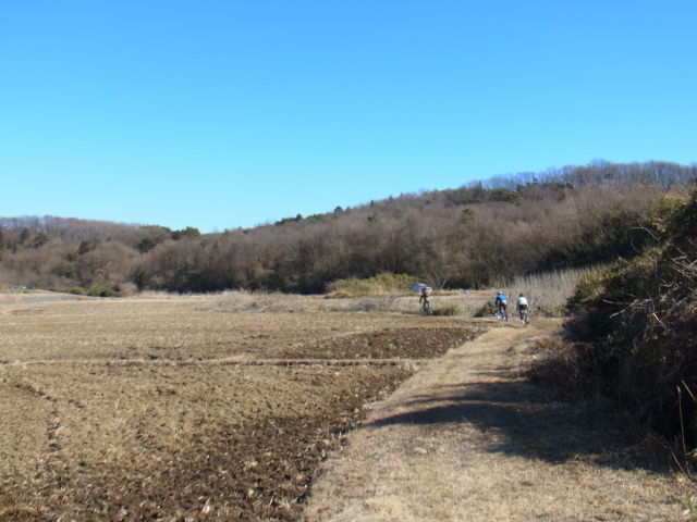 イメージ 11