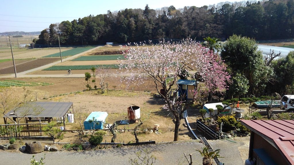 イメージ 29