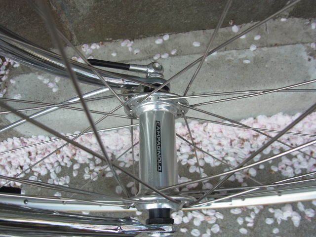 イメージ 11