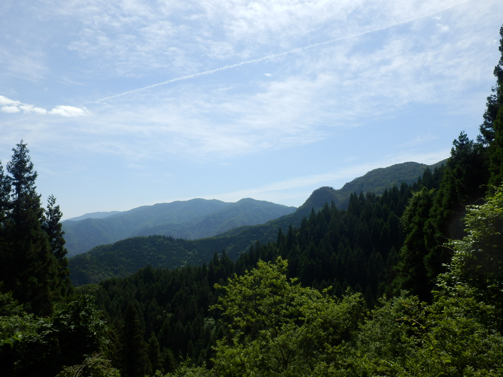 P7070110