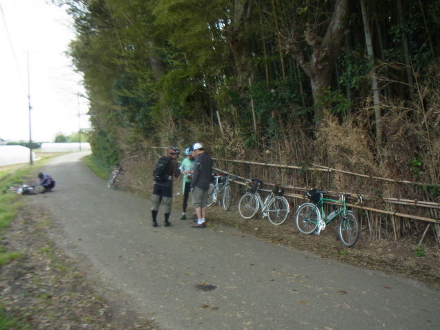 イメージ 16