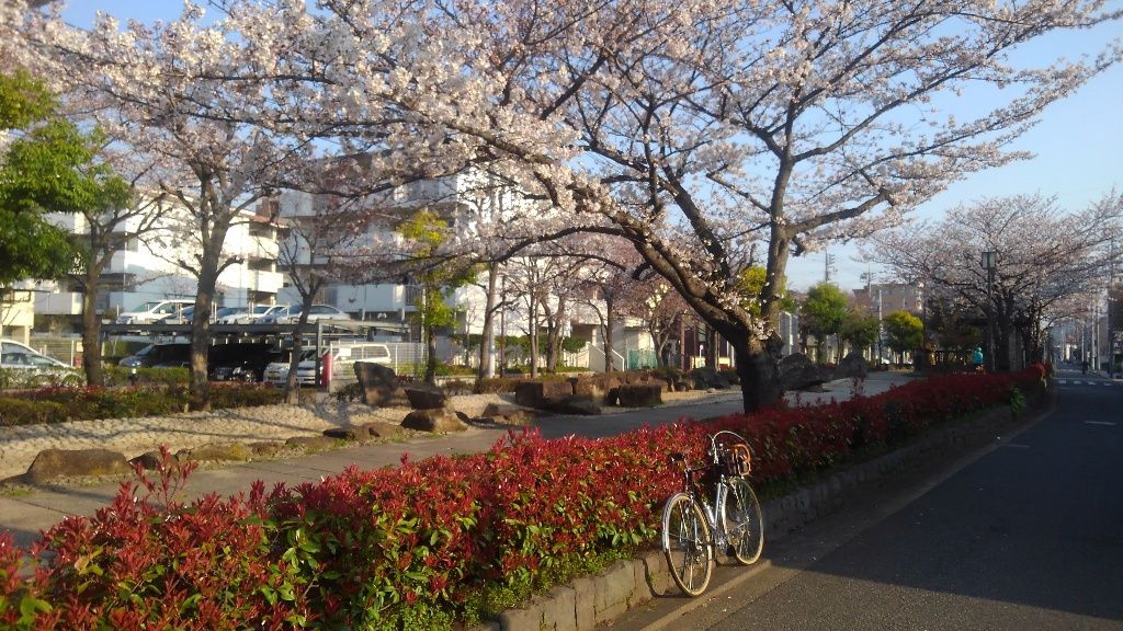 イメージ 2
