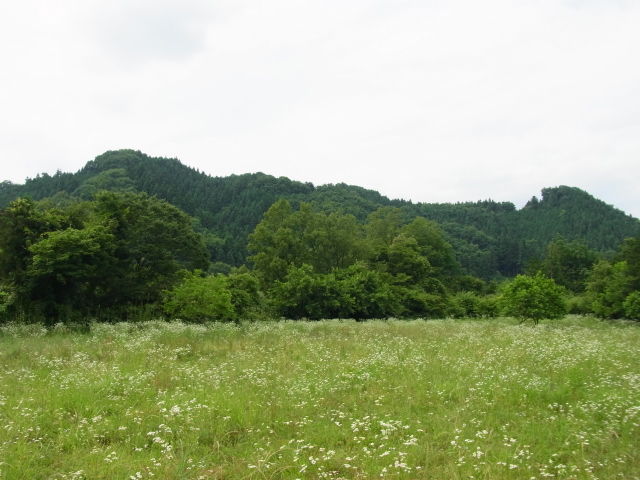 イメージ 28