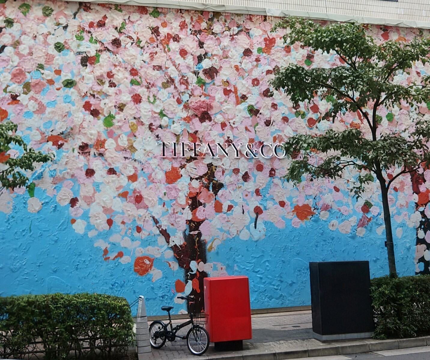 KIMG6653~2