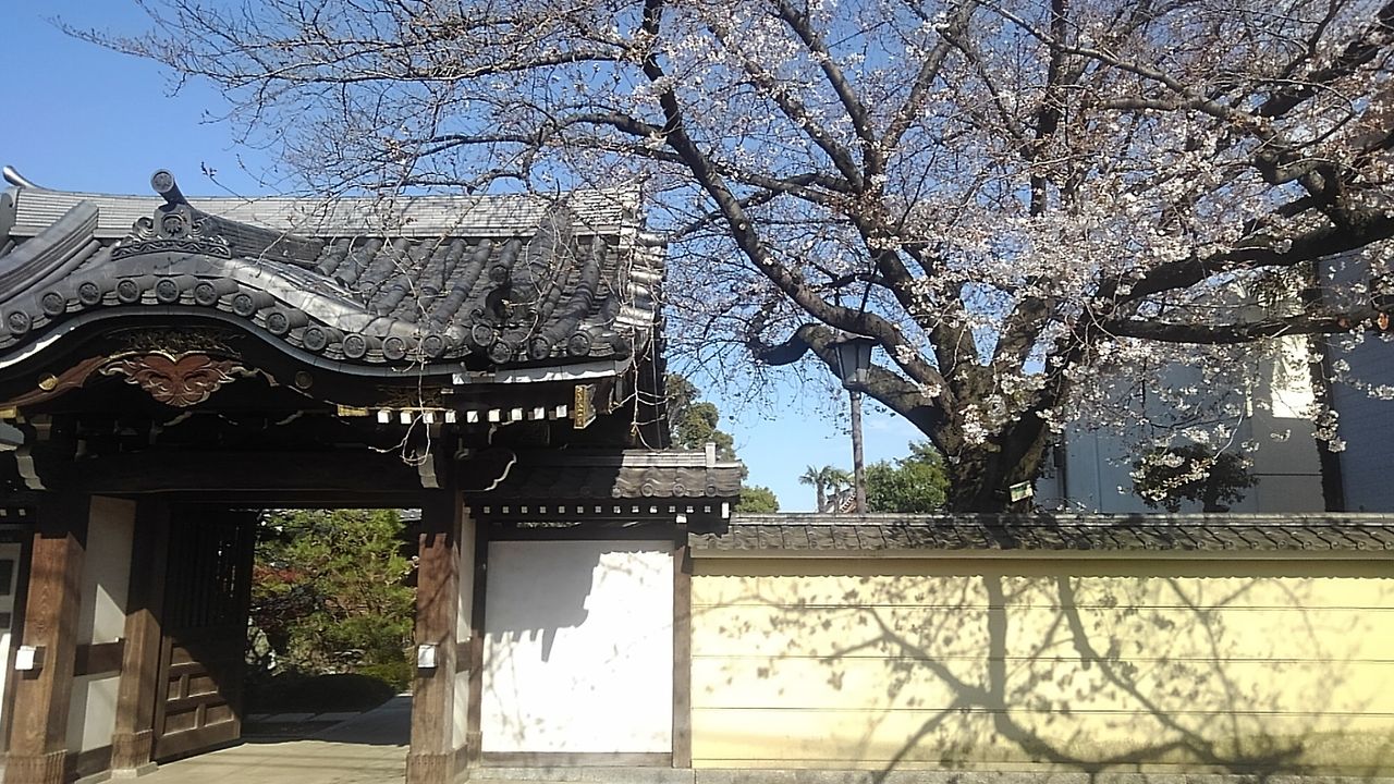 イメージ 15