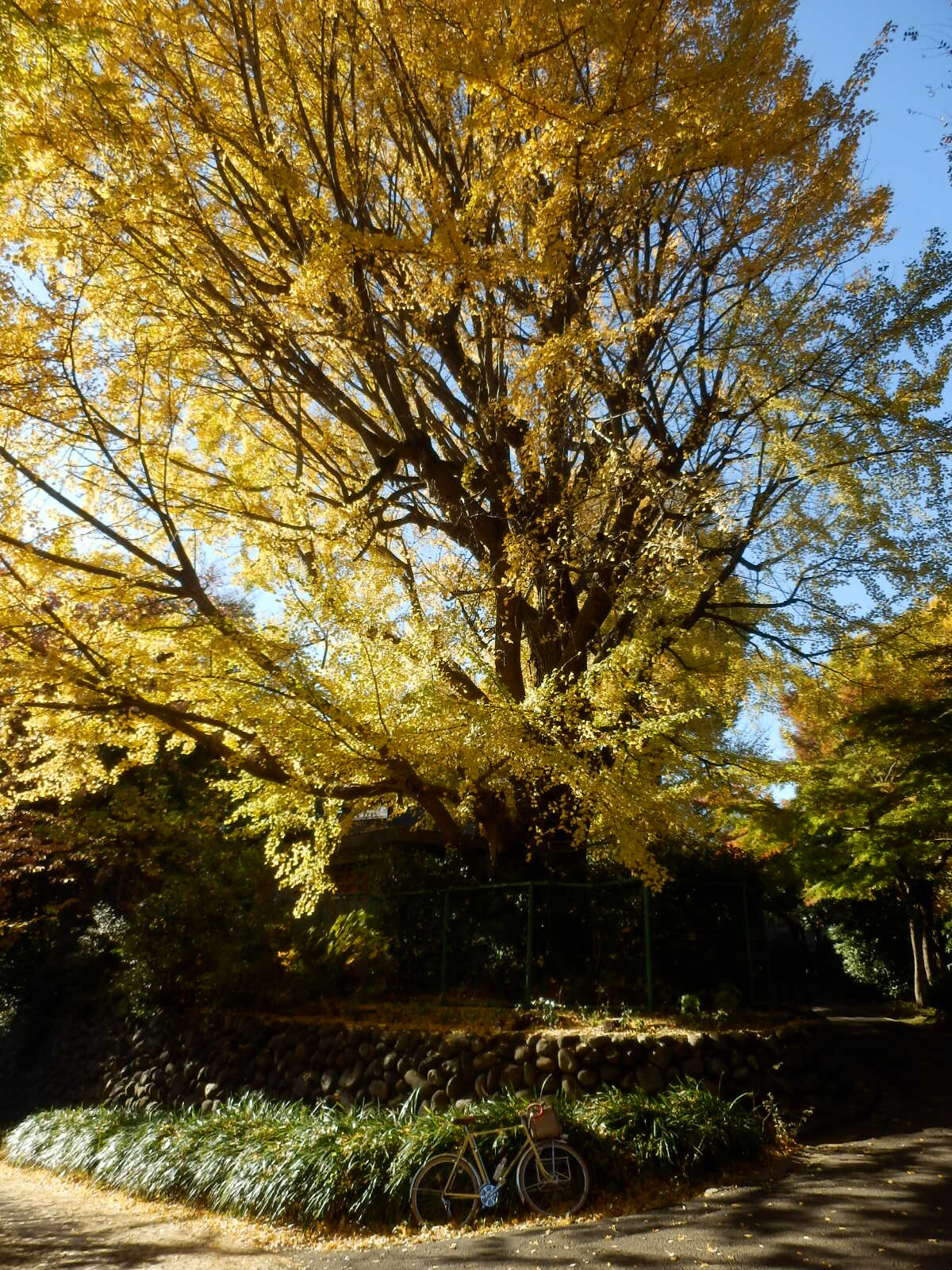 PC070177