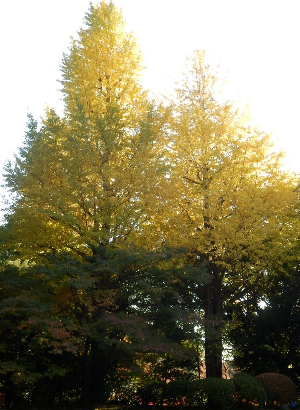 PC020120