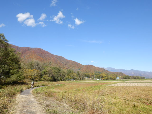 イメージ 13