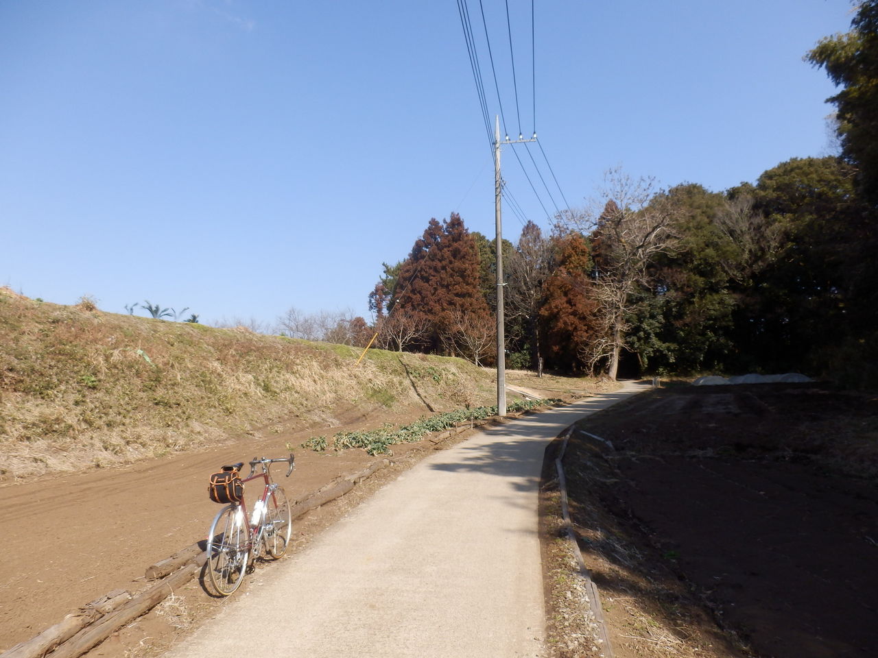イメージ 1
