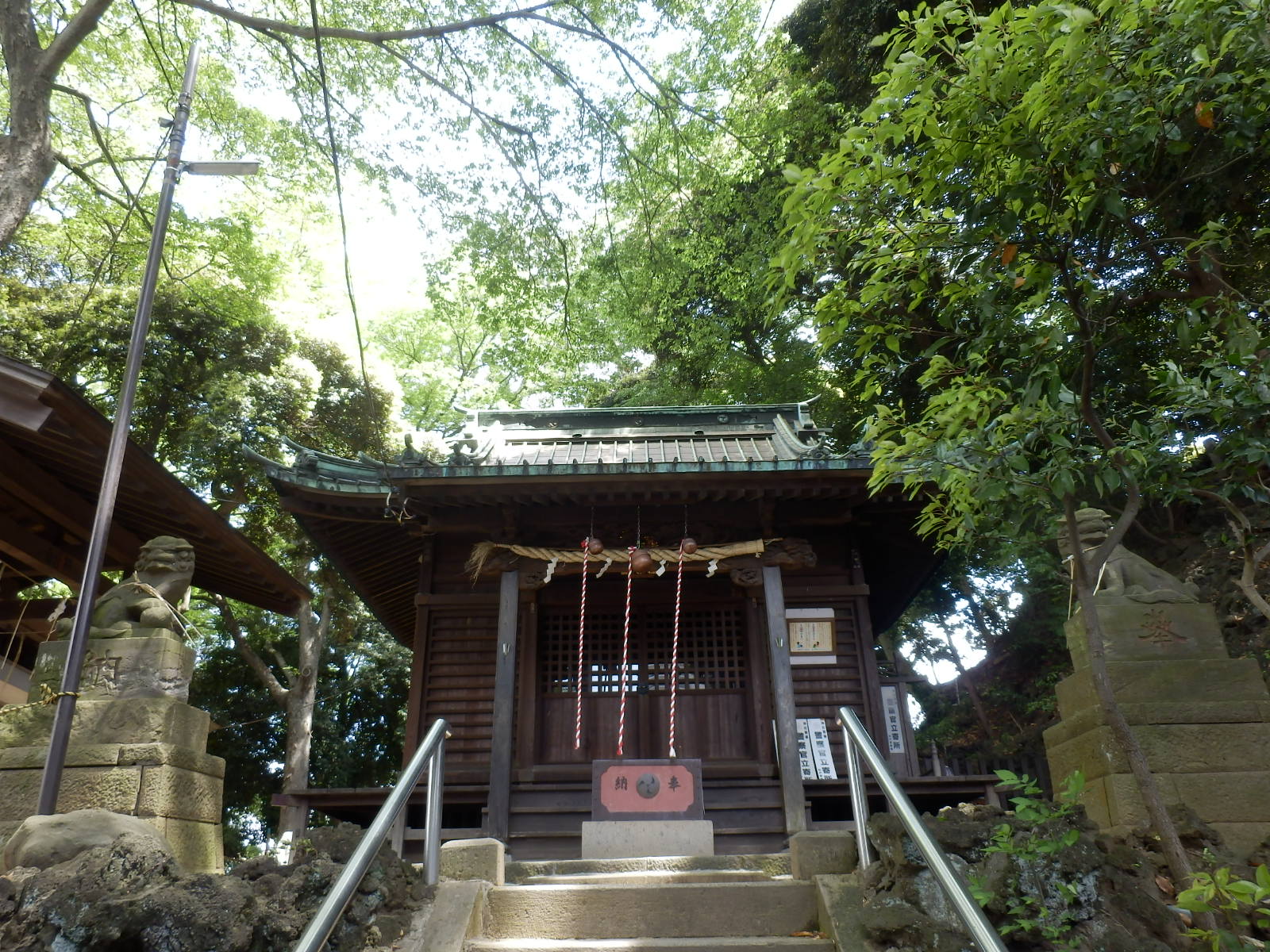 P4290040