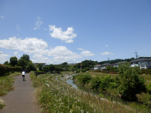 イメージ 34