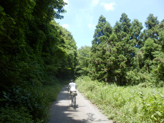 イメージ 17