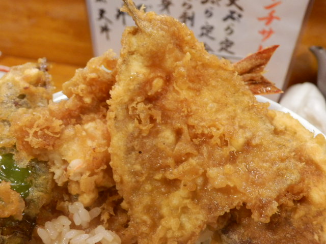 イメージ 5