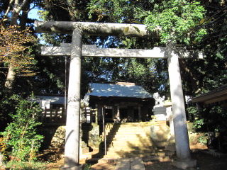 イメージ 5