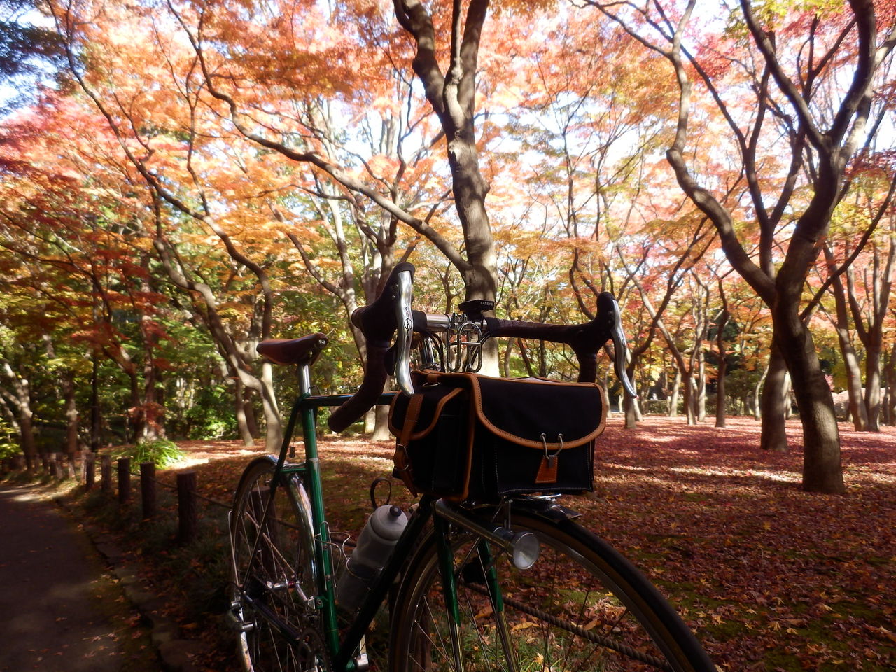 イメージ 5