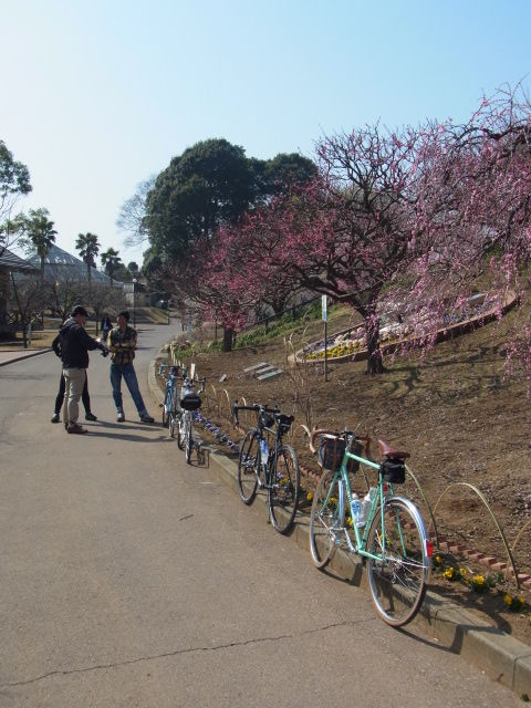 イメージ 13