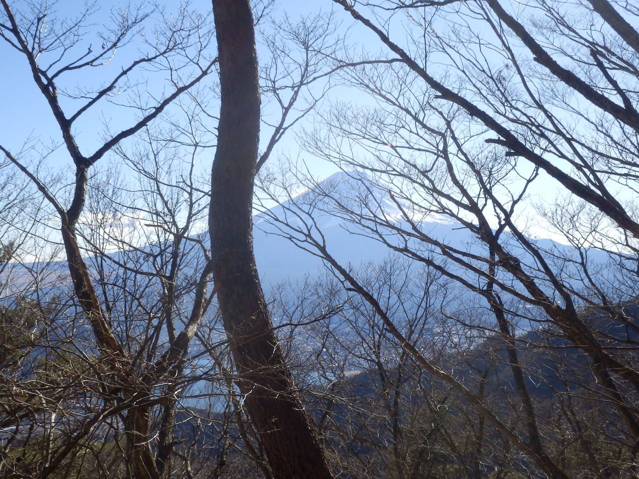 イメージ 34